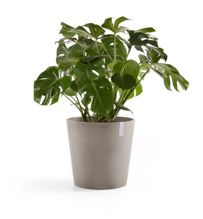 Ecopots Amsterdam gråbrun 50 cm Ecopots Amsterdam gråbrun 50 cm